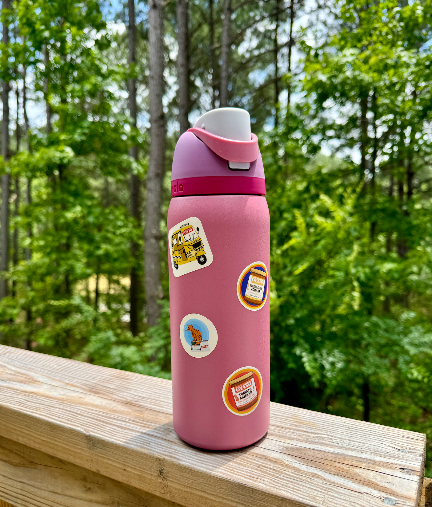 Brooklyn Delhi Sticker Sheet