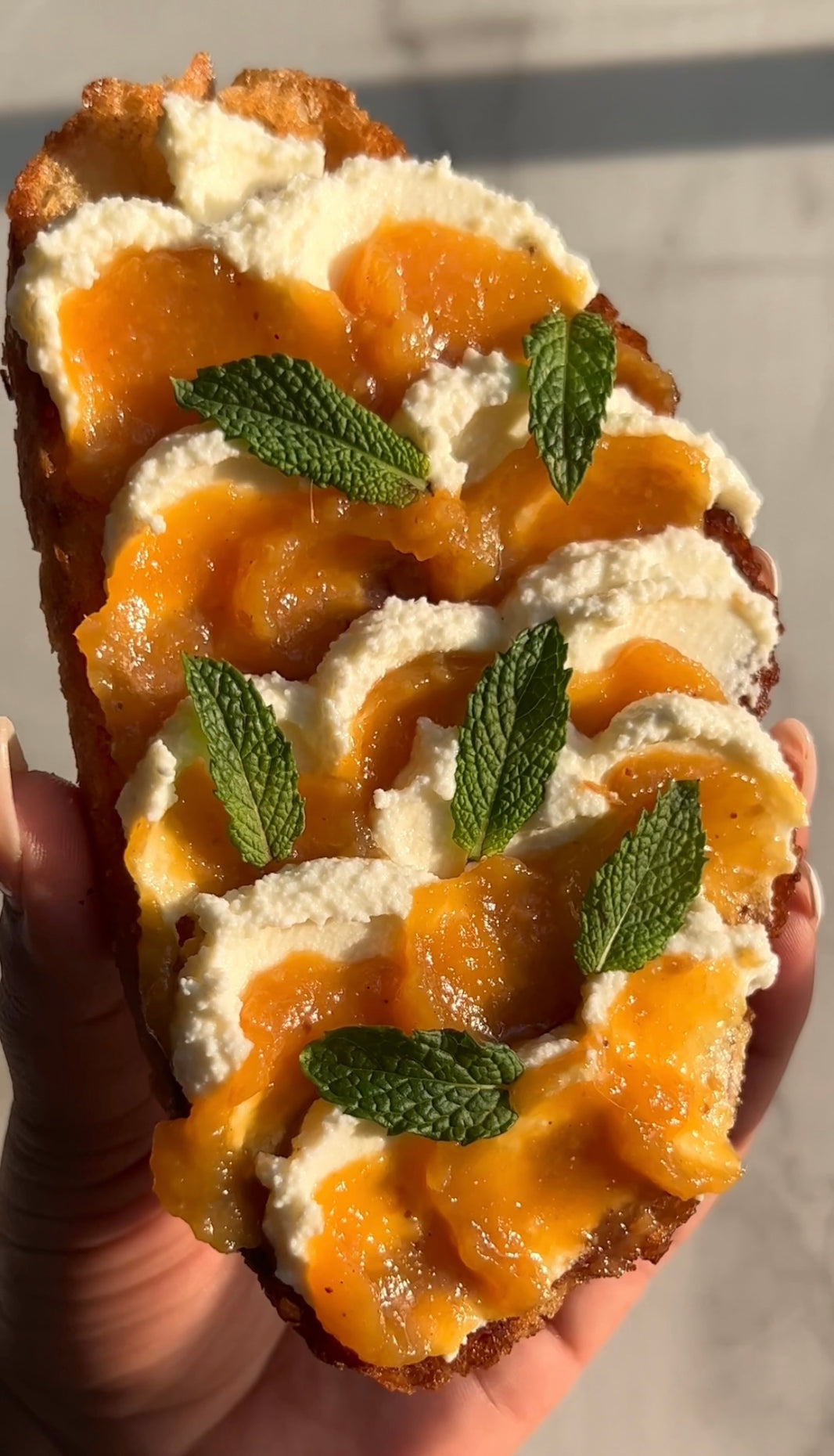 Halloumi Butter Masala with Greens Brooklyn Delhi